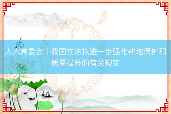 人大常委会丨我国立法拟进一步强化耕地保护和质量提升的有关规定