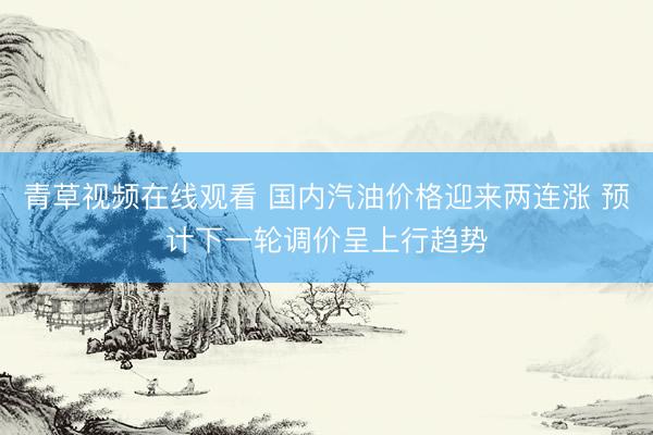 青草视频在线观看 国内汽油价格迎来两连涨 预计下一轮调价呈上行趋势