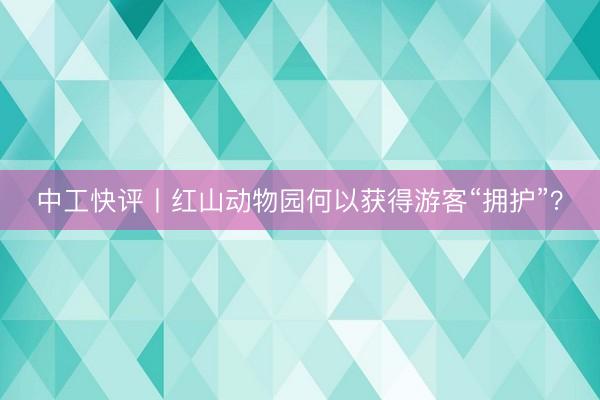 中工快评丨红山动物园何以获得游客“拥护”？