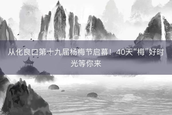 从化良口第十九届杨梅节启幕！40天“梅”好时光等你来