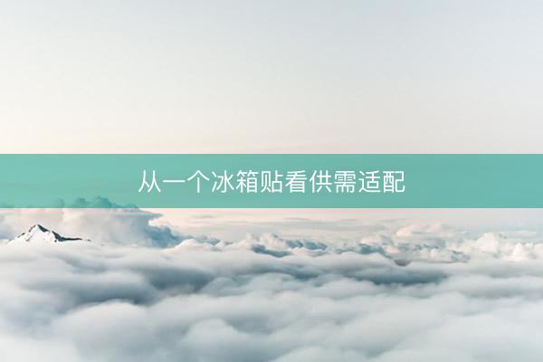 从一个冰箱贴看供需适配