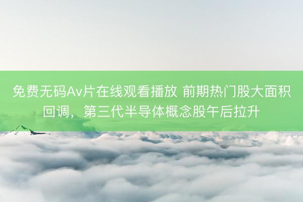 免费无码Av片在线观看播放 前期热门股大面积回调，第三代半导体概念股午后拉升
