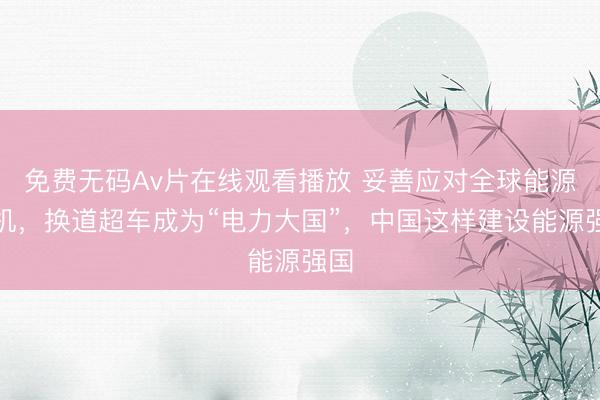 免费无码Av片在线观看播放 妥善应对全球能源危机，换道超车成为“电力大国”，中国这样建设能源强国