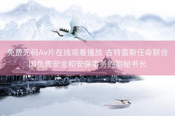 免费无码Av片在线观看播放 古特雷斯任命联合国负责安全和安保事务的副秘书长
