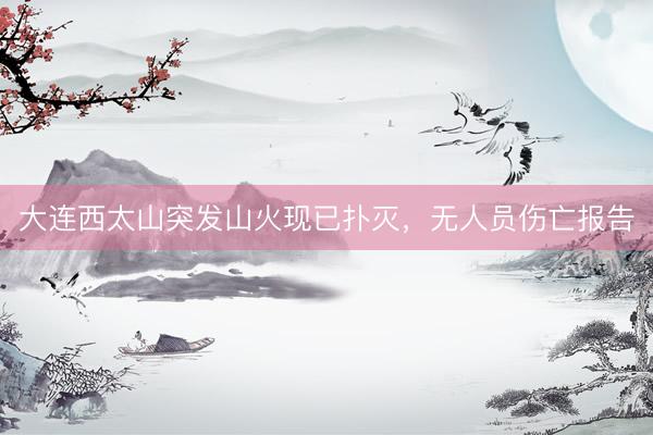 大连西太山突发山火现已扑灭，无人员伤亡报告