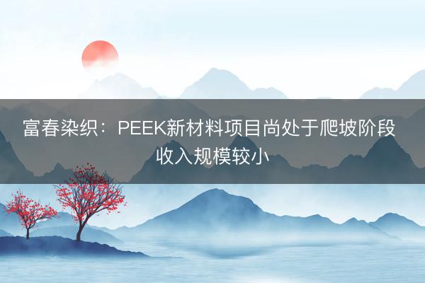 富春染织：PEEK新材料项目尚处于爬坡阶段 收入规模较小