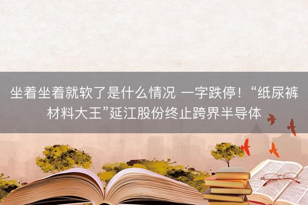 坐着坐着就软了是什么情况 一字跌停！“纸尿裤材料大王”延江股份终止跨界半导体