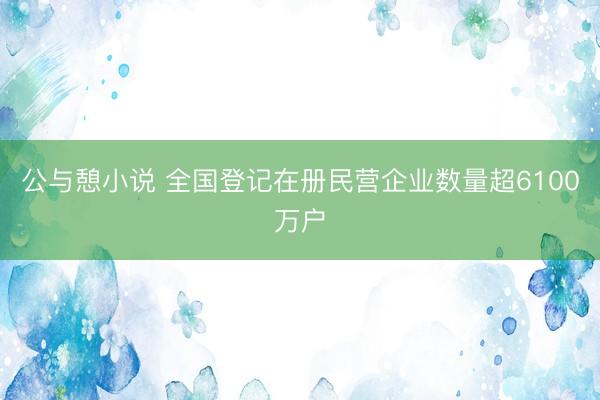 公与憩小说 全国登记在册民营企业数量超6100万户