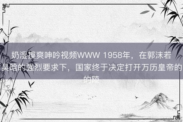奶湿摸爽呻吟视频WWW 1958年，在郭沫若、吴晗的强烈要求下，国家终于决定打开万历皇帝的陵