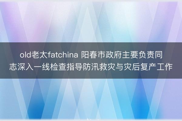 old老太fatchina 阳春市政府主要负责同志深入一线检查指导防汛救灾与灾后复产工作