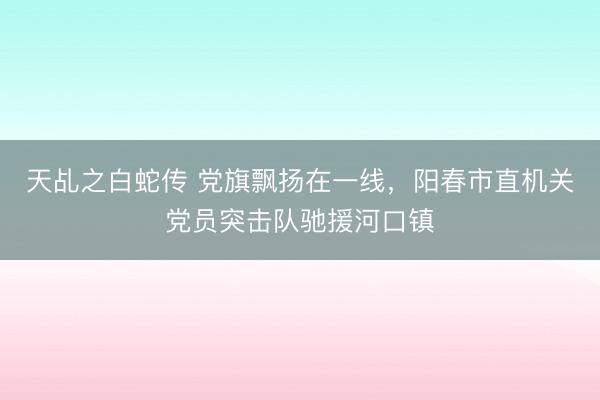 天乩之白蛇传 党旗飘扬在一线，阳春市直机关党员突击队驰援河口镇