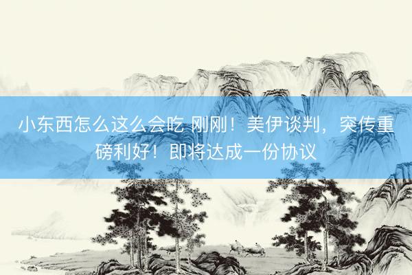 小东西怎么这么会吃 刚刚!美伊谈判,突传重磅利好!即将达成一份协议
