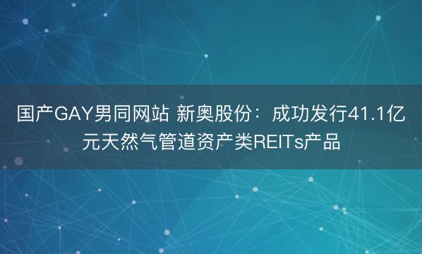 国产GAY男同网站 新奥股份：成功发行41.1亿元天然气管道资产类REITs产品