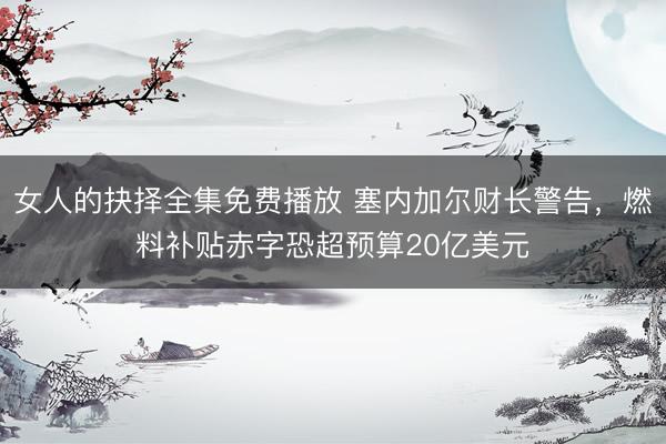 女人的抉择全集免费播放 塞内加尔财长警告，燃料补贴赤字恐超预算20亿美元