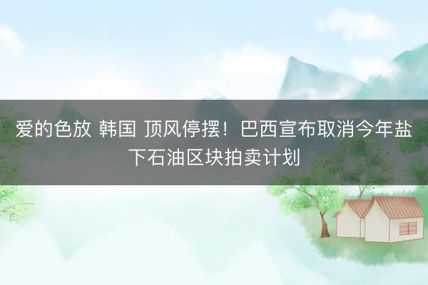 爱的色放 韩国 顶风停摆！巴西宣布取消今年盐下石油区块拍卖计划