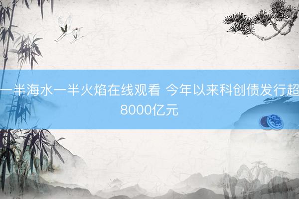 一半海水一半火焰在线观看 今年以来科创债发行超8000亿元