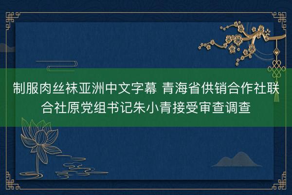 制服肉丝袜亚洲中文字幕 青海省供销合作社联合社原党组书记朱小青接受审查调查