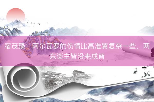 宿茂臻：阿尔瓦罗的伤情比高准翼复杂一些，两东谈主皆没来成皆