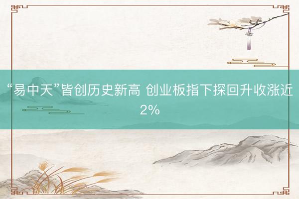 “易中天”皆创历史新高 创业板指下探回升收涨近2%