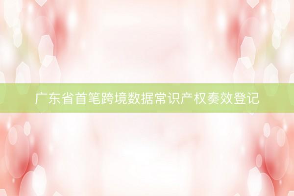 广东省首笔跨境数据常识产权奏效登记