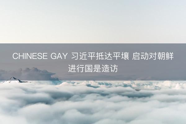 CHINESE GAY 习近平抵达平壤 启动对朝鲜进行国是造访