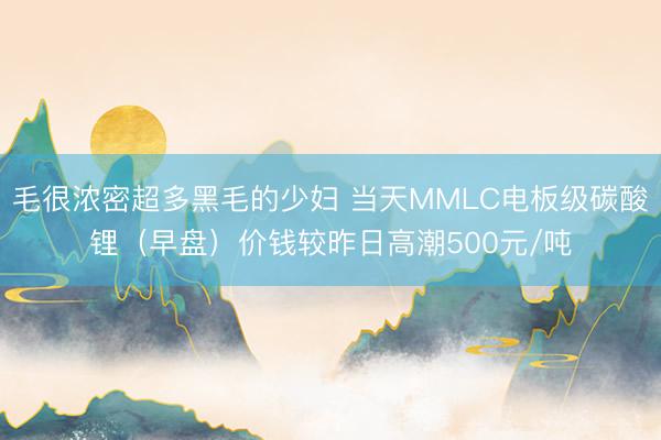 毛很浓密超多黑毛的少妇 当天MMLC电板级碳酸锂（早盘）价钱较昨日高潮500元/吨