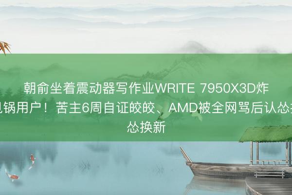 朝俞坐着震动器写作业WRITE 7950X3D炸了甩锅用户！苦主6周自证皎皎、AMD被全网骂后认怂换新