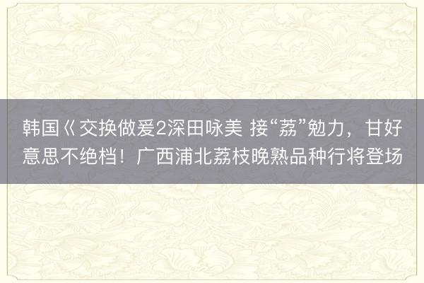 韩国巜交换做爰2深田咏美 接“荔”勉力，甘好意思不绝档！广西浦北荔枝晚熟品种行将登场