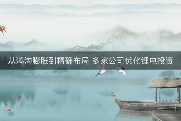 从鸿沟膨胀到精确布局 多家公司优化锂电投资