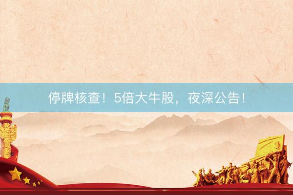 停牌核查！5倍大牛股，夜深公告！