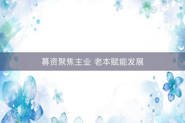 募资聚焦主业 老本赋能发展