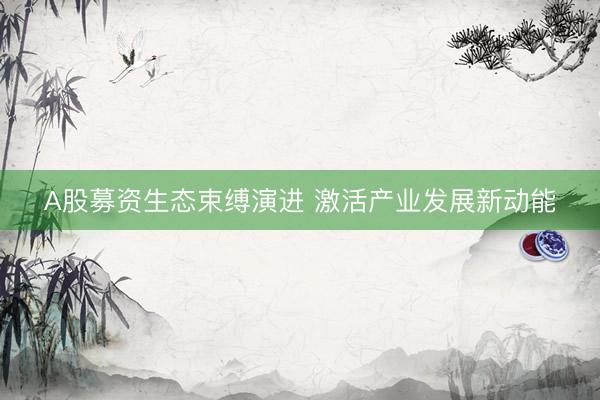 A股募资生态束缚演进 激活产业发展新动能